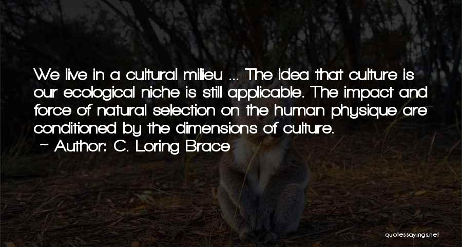 Cultural Dimensions Quotes By C. Loring Brace