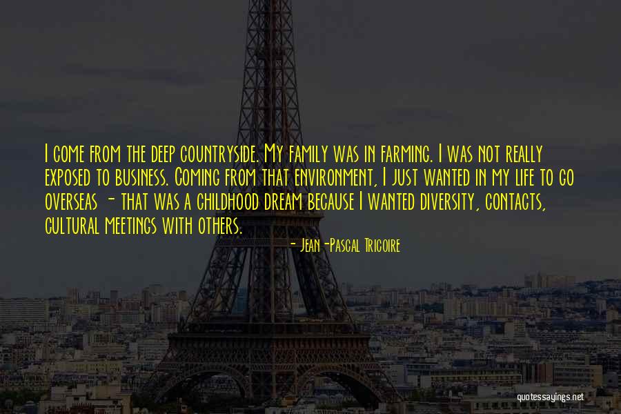 Cultural Diversity In Business Quotes By Jean-Pascal Tricoire