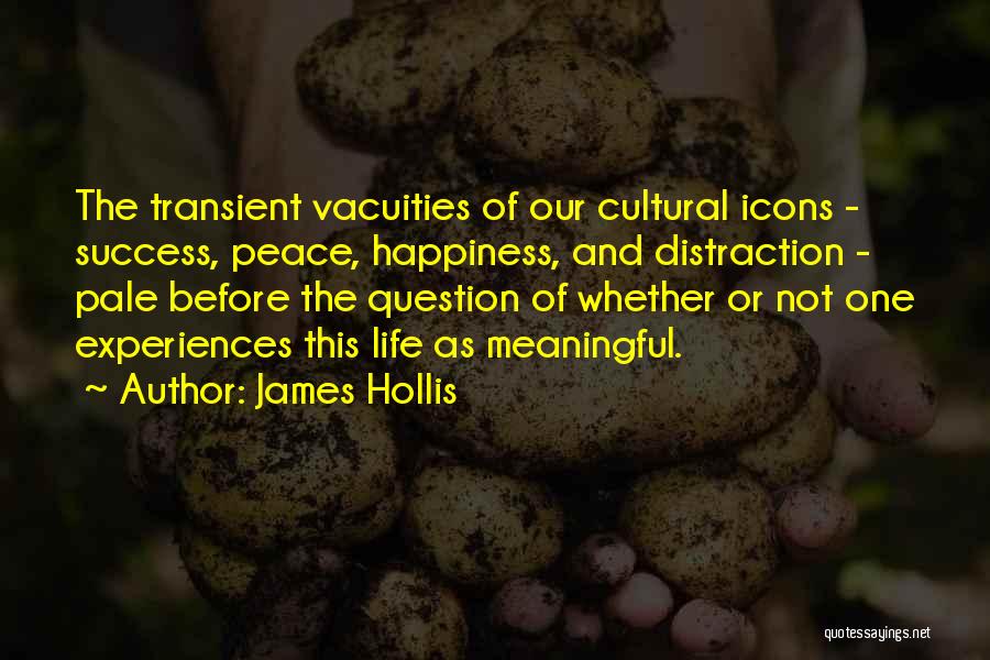 Cultural Experiences Quotes By James Hollis