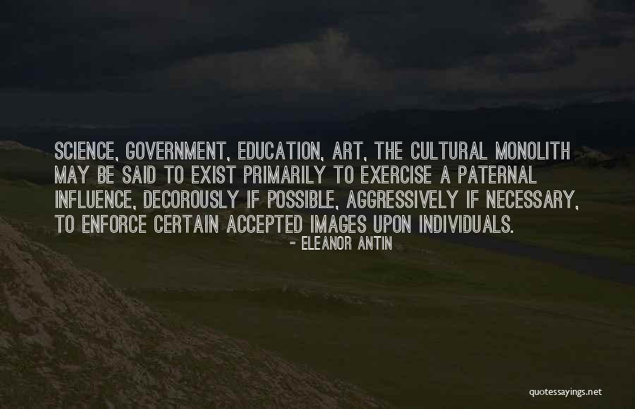 Cultural Influence Quotes By Eleanor Antin Cultural Influence Quotes By Eleanor Antin