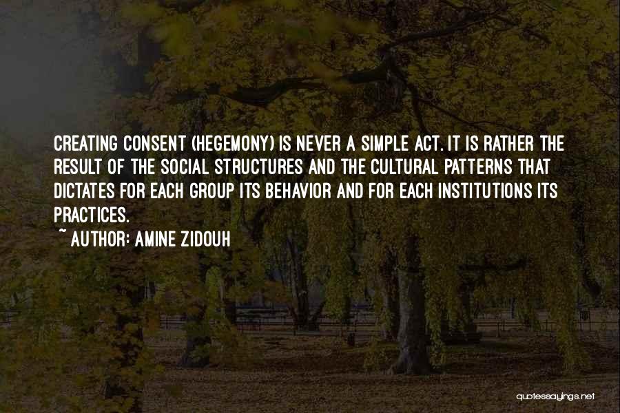 Cultural Practices Quotes By Amine Zidouh