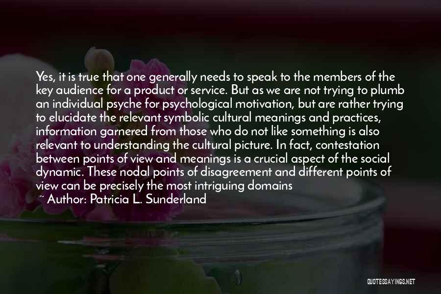 Cultural Practices Quotes By Patricia L. Sunderland