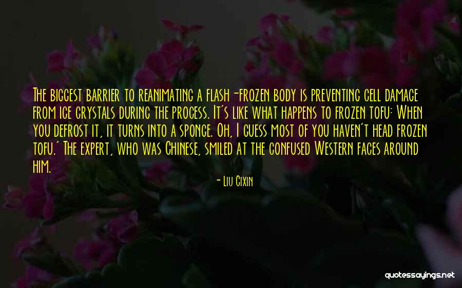 Cultural Process Quotes By Liu Cixin Cultural Process Quotes By Liu Cixin