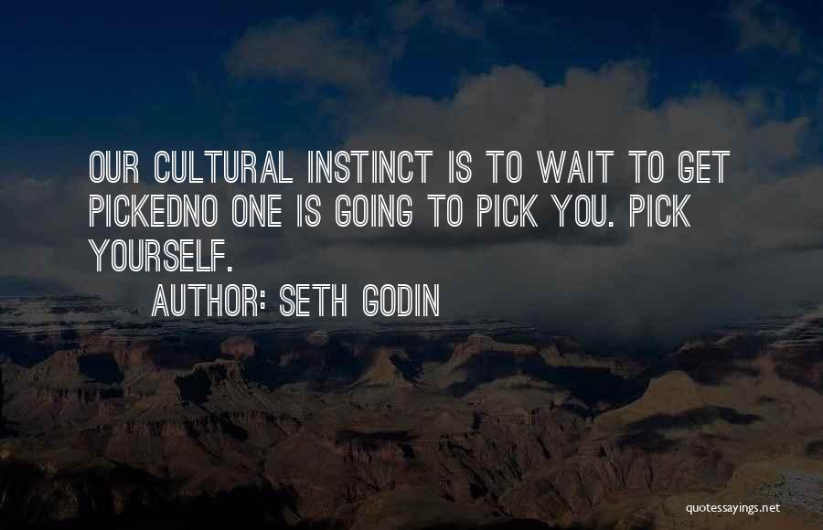 Cultural Quotes By Seth Godin