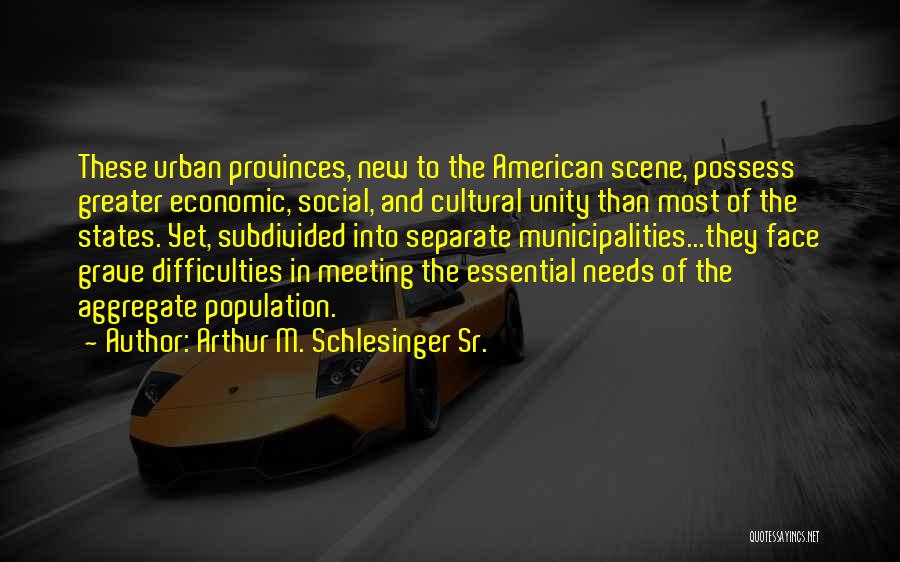 Cultural Unity Quotes By Arthur M. Schlesinger Sr.