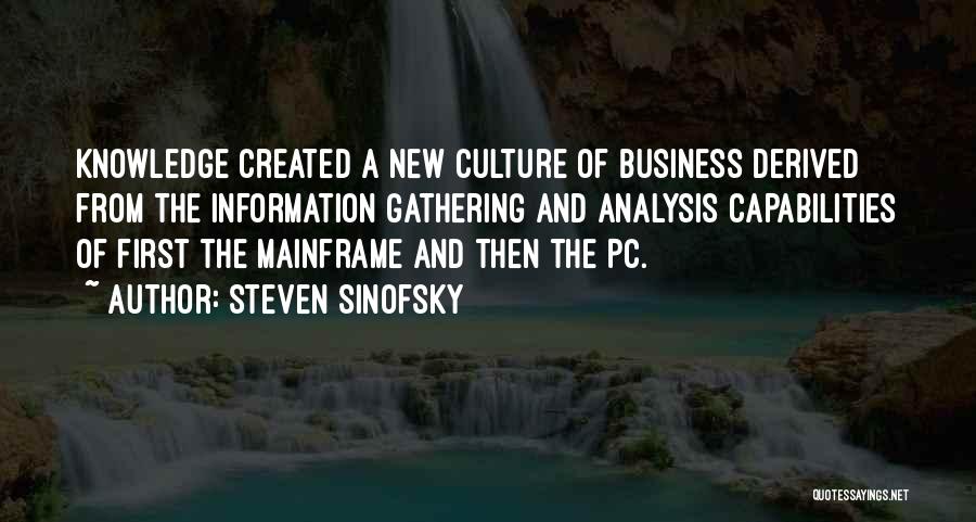 Culture And Business Quotes By Steven Sinofsky