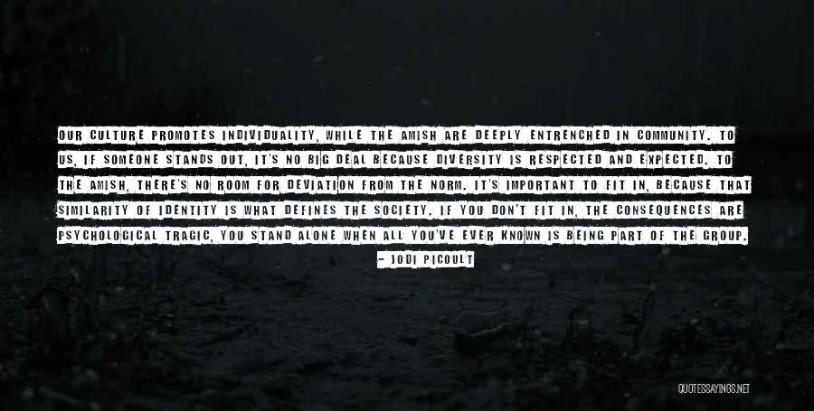 Culture And Diversity Quotes By Jodi Picoult