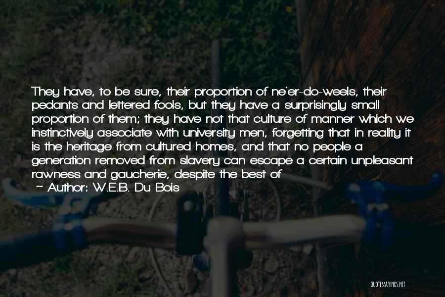 Culture And Heritage Quotes By W.E.B. Du Bois