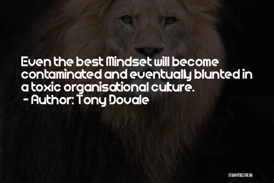 Culture And Leadership Quotes By Tony Dovale