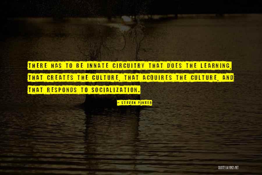 Culture And Socialization Quotes By Steven Pinker Culture And Socialization Quotes By Steven Pinker