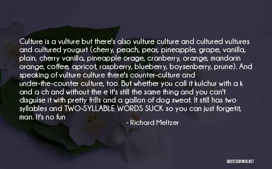 Culture Has Two Quotes By Richard Meltzer Culture Has Two Quotes By Richard Meltzer