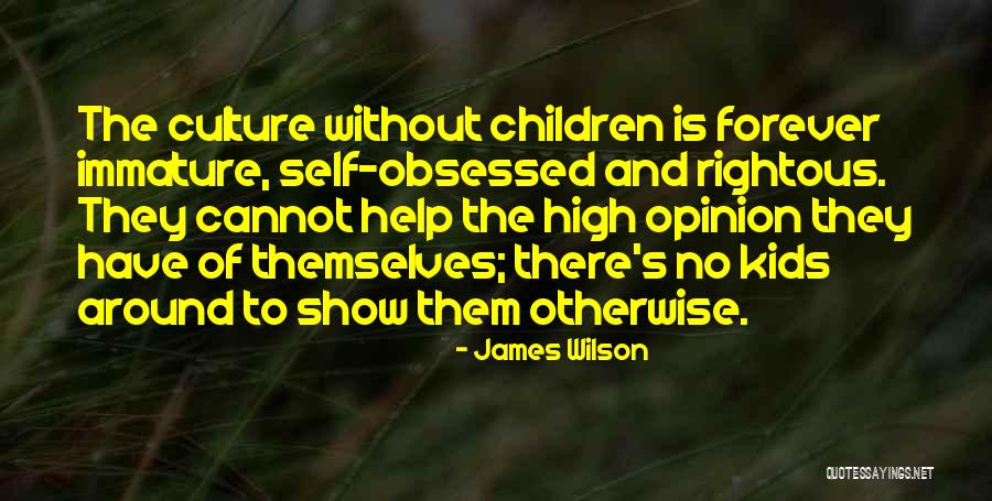 Culture High Quotes By James Wilson