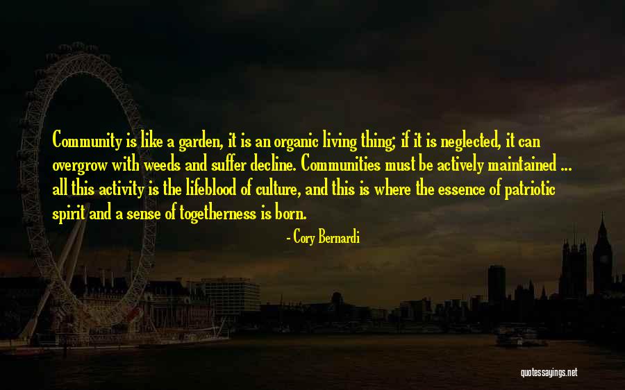 Culture In Decline Quotes By Cory Bernardi