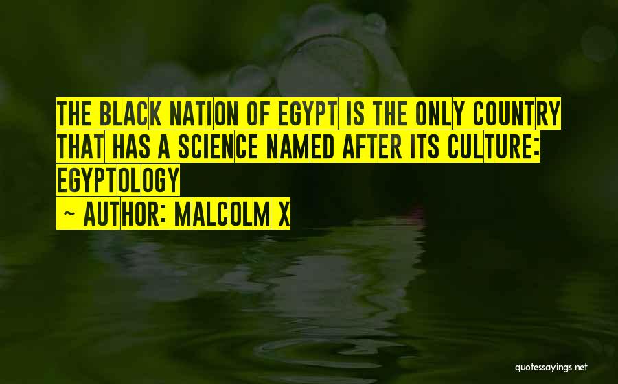 Culture Of Egypt Quotes By Malcolm X