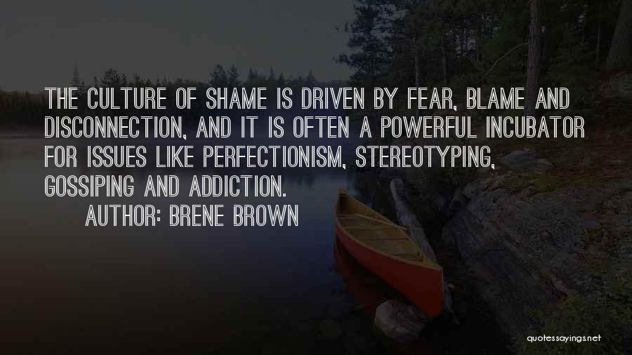 Culture Of Fear Quotes By Brene Brown