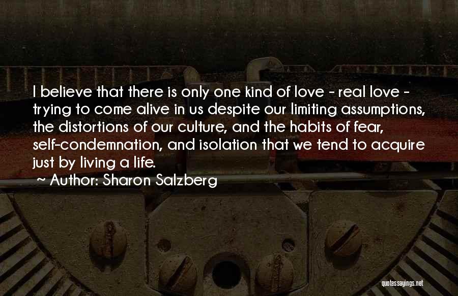 Culture Of Fear Quotes By Sharon Salzberg