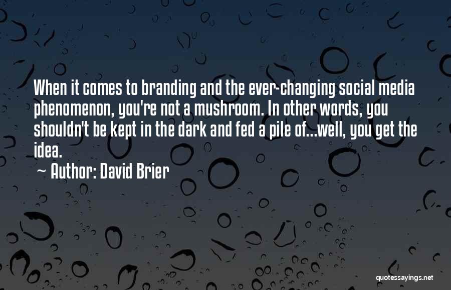 Culture Vs Strategy Quotes By David Brier