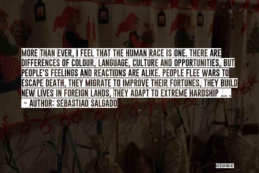 Culture Wars Quotes By Sebastiao Salgado