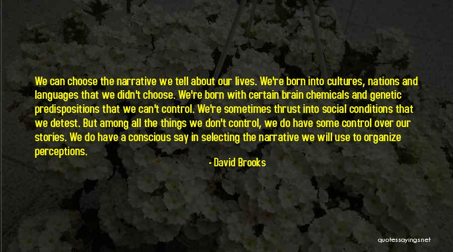 Cultures And Languages Quotes By David Brooks