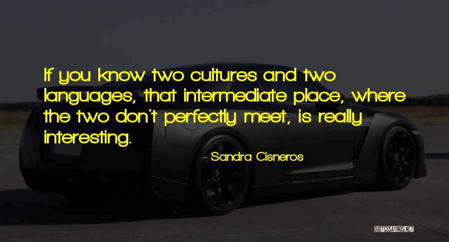 Cultures And Languages Quotes By Sandra Cisneros