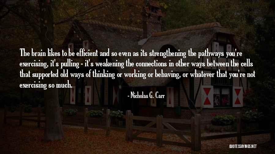 Culvert Pipe Quotes By Nicholas G. Carr Culvert Pipe Quotes By Nicholas G. Carr