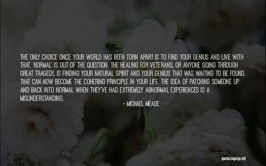 Culzean Fairley Quotes By Michael Meade Culzean Fairley Quotes By Michael Meade