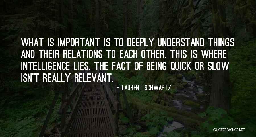 Cumballa Quotes By Laurent Schwartz Cumballa Quotes By Laurent Schwartz