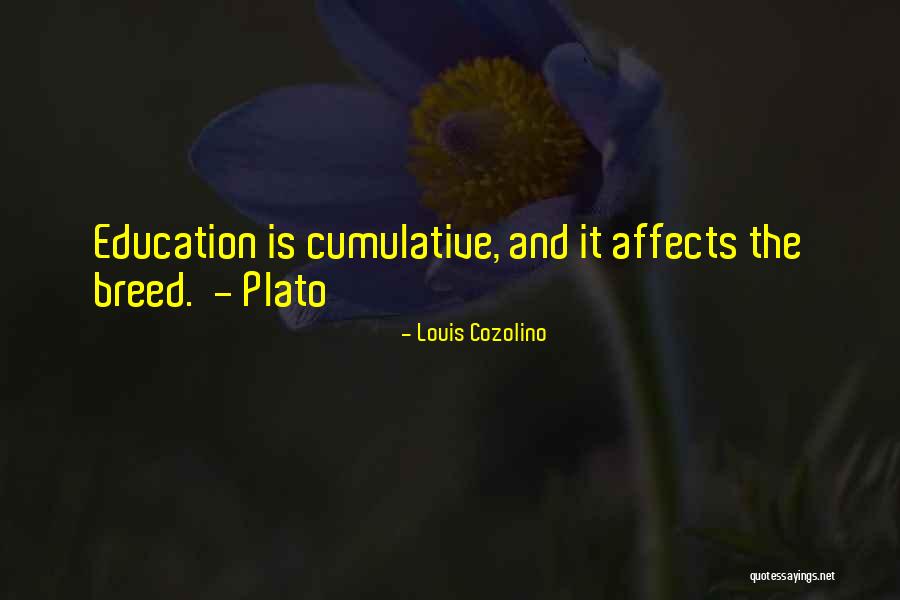 Cumulative Quotes By Louis Cozolino Cumulative Quotes By Louis Cozolino