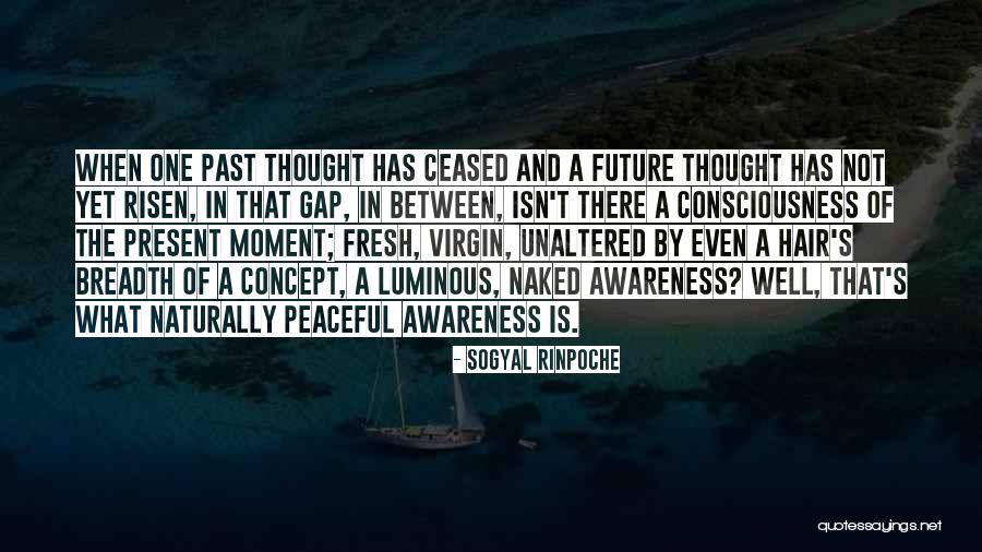 Cunards East Quotes By Sogyal Rinpoche Cunards East Quotes By Sogyal Rinpoche