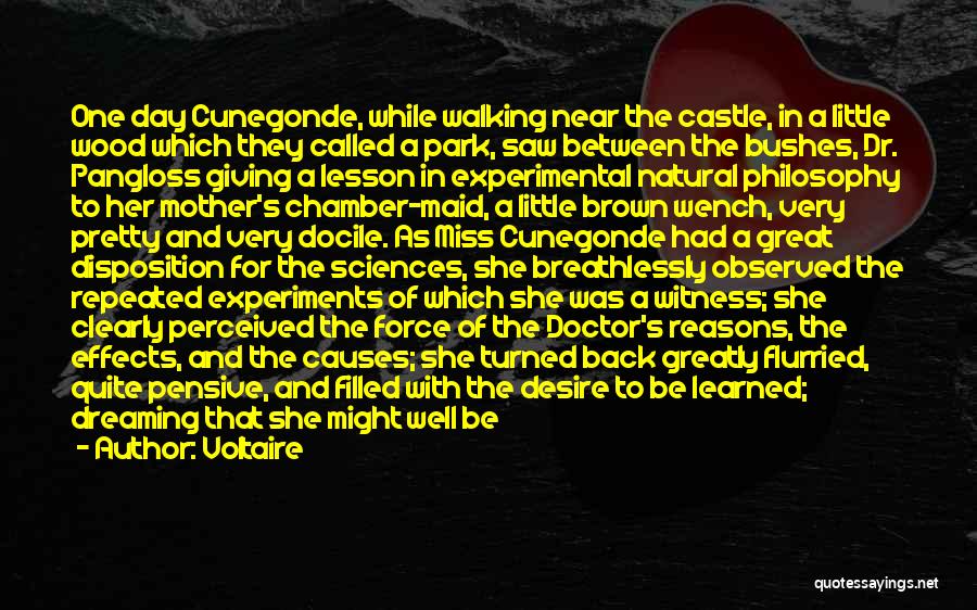 Cunegonde Quotes By Voltaire