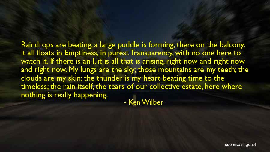 Cung Hoang Quotes By Ken Wilber Cung Hoang Quotes By Ken Wilber
