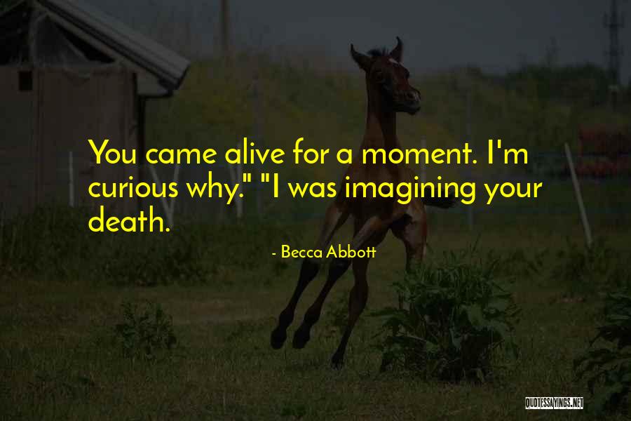 Cunha Trucking Quotes By Becca Abbott
