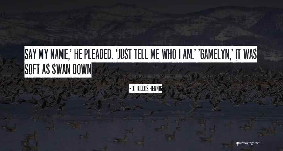 Cunneen Fundraising Quotes By J. Tullos Hennig Cunneen Fundraising Quotes By J. Tullos Hennig