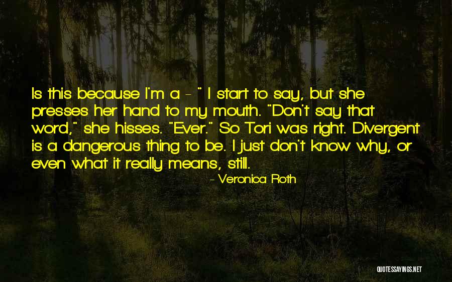 Cunningham Family Quotes By Veronica Roth Cunningham Family Quotes By Veronica Roth