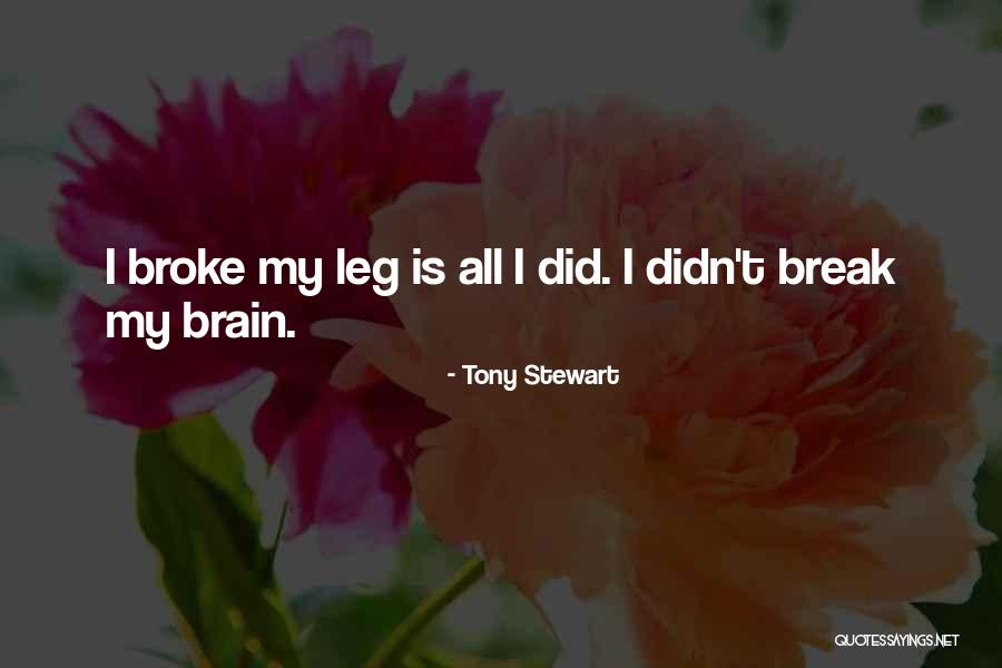 Cuoio Capelluto Quotes By Tony Stewart