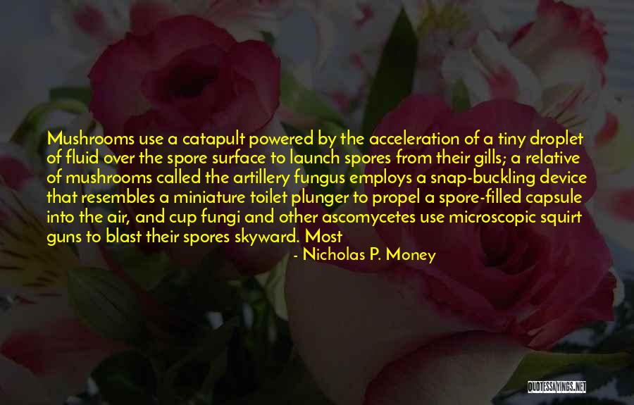 Cup Filled Quotes By Nicholas P. Money Cup Filled Quotes By Nicholas P. Money