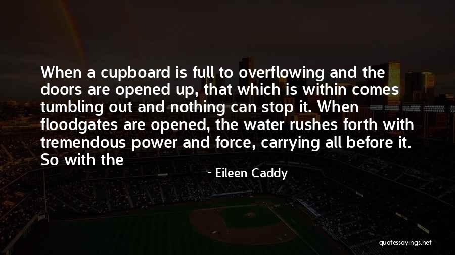 Cupboard Doors Quotes By Eileen Caddy Cupboard Doors Quotes By Eileen Caddy