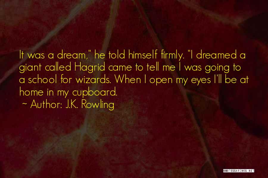 Cupboard Quotes By J.K. Rowling