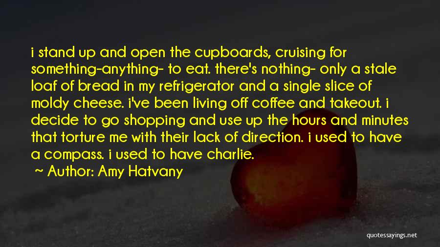 Cupboards Quotes By Amy Hatvany