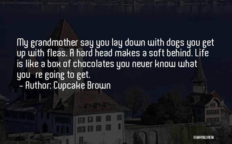 Cupcake Brown Quotes 992155