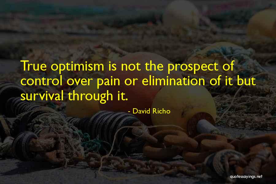 Cupcupin Vs People Quotes By David Richo Cupcupin Vs People Quotes By David Richo