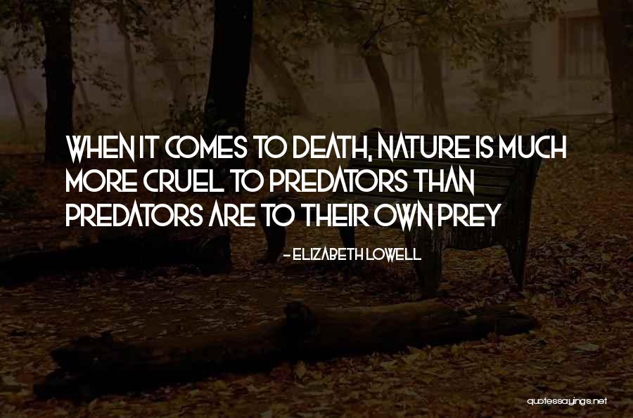 Cups And Cakes Quotes By Elizabeth Lowell Cups And Cakes Quotes By Elizabeth Lowell