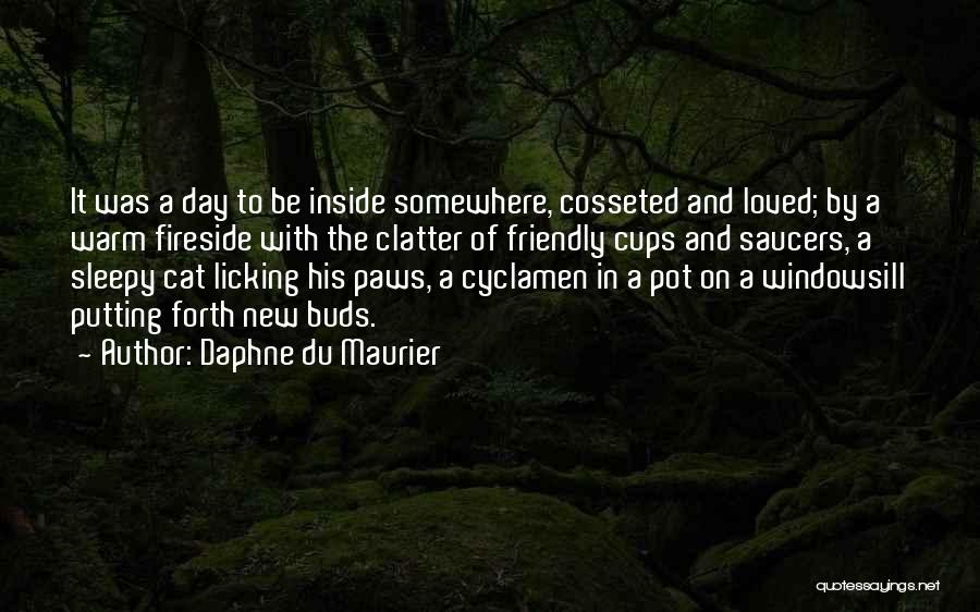 Cups And Saucers Quotes By Daphne Du Maurier
