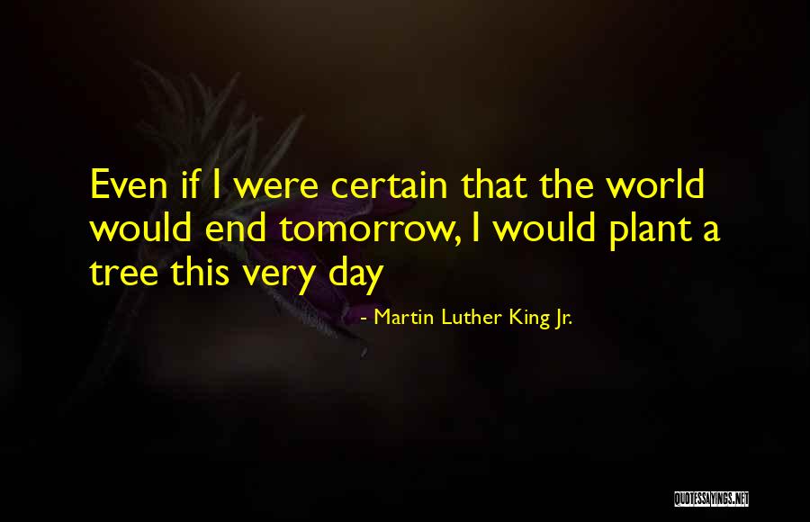 Curadaterra Quotes By Martin Luther King Jr. Curadaterra Quotes By Martin Luther King Jr.
