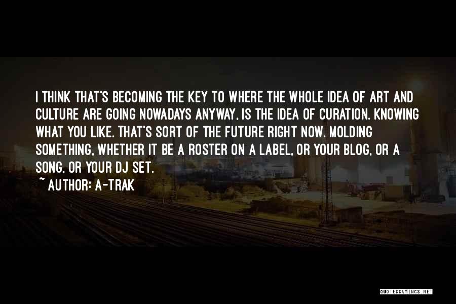 Curation Quotes By A-Trak