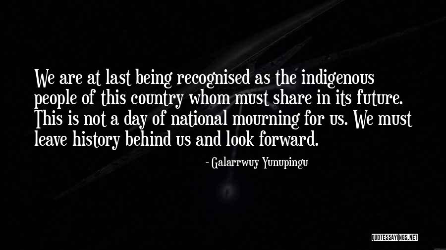 Curcan Quotes By Galarrwuy Yunupingu Curcan Quotes By Galarrwuy Yunupingu