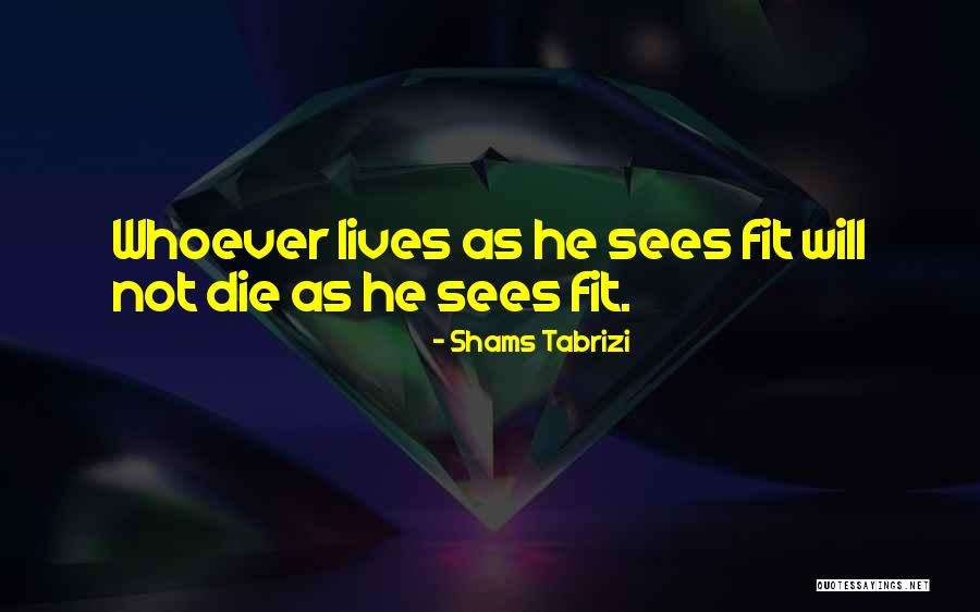 Curettage Quotes By Shams Tabrizi Curettage Quotes By Shams Tabrizi