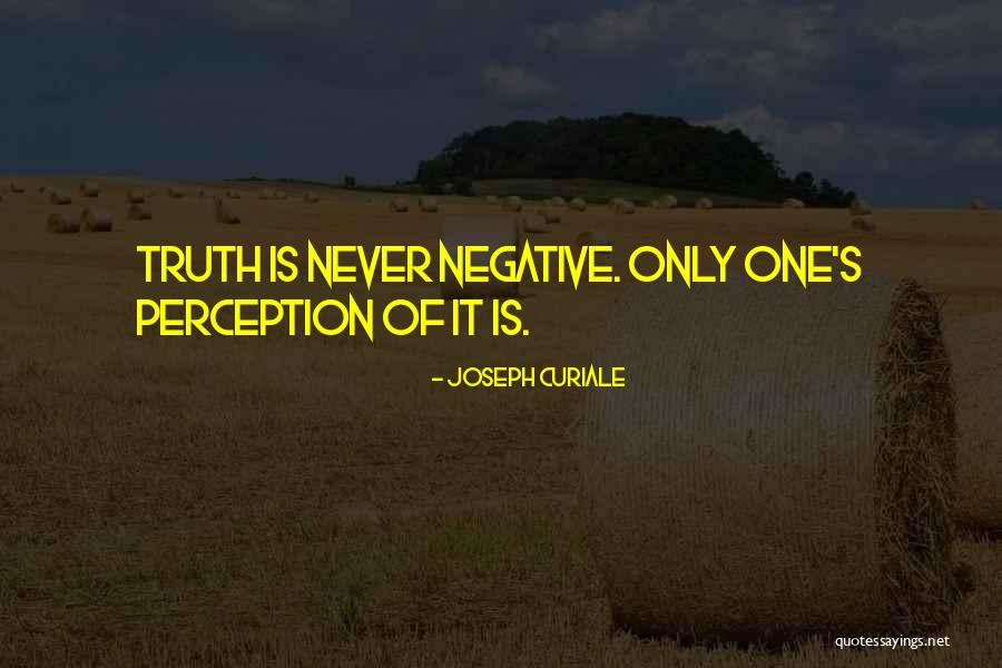Curiale Quotes By Joseph Curiale