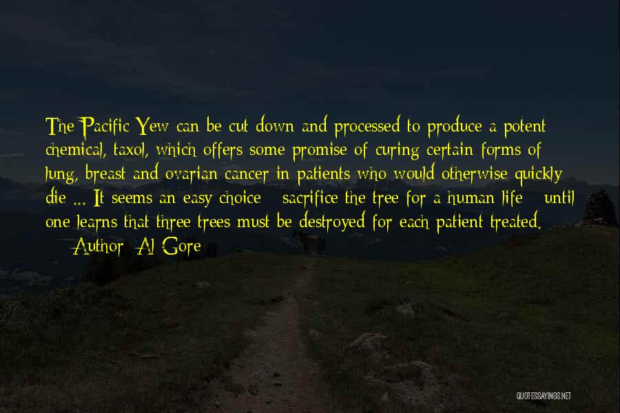 Curing Cancer Quotes By Al Gore