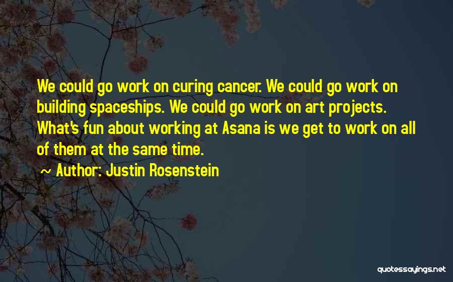 Curing Cancer Quotes By Justin Rosenstein